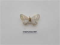 藏品(尺蛾32)的圖片